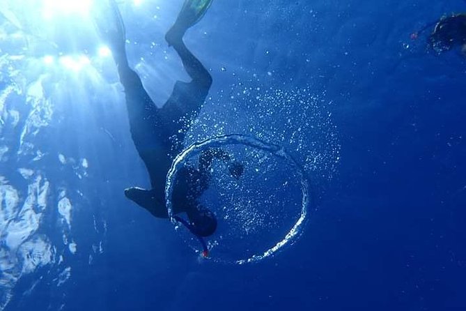 Combo Diving and Snorkeling Half-Day Tour - Guides David and Aimee