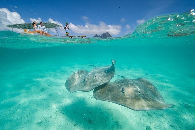 Combo snorkeling + motu lunch + jet ski group tour full day - One day, several sides of Bora Bora