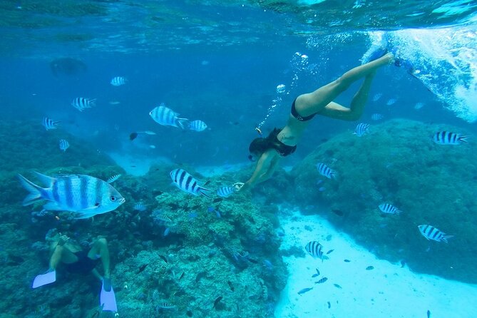 Combo snorkeling + motu lunch + jet ski group tour full day - Starting with stingrays in the lagoon