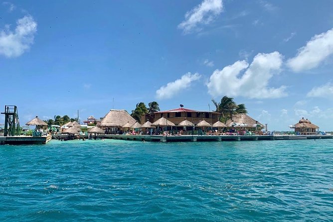 Coral Garden Shark and Sting Ray Alley Snorkeling - What this Belize snorkeling trip actually includes