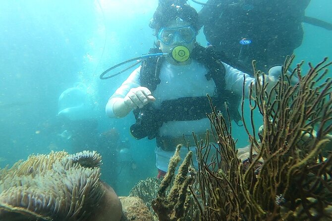 Coral Reef Snorkeling and Floating Bar Party from Nha Trang - What this Nha Trang boat trip is really about