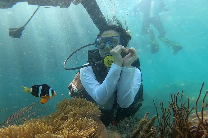 Coral Reef Snorkeling and Floating Bar Party from Nha Trang - Hon Tam snorkeling: a promising start with conditions attached