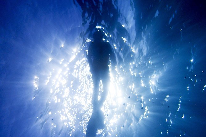 Coral Sea Dreaming Overnight Dive, Snorkel and Sail - Why a 12-passenger boat changes the Great Barrier Reef