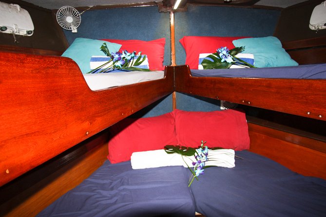 Coral Sea Dreaming Overnight Dive, Snorkel and Sail - Food, drinks, and life aboard for one night