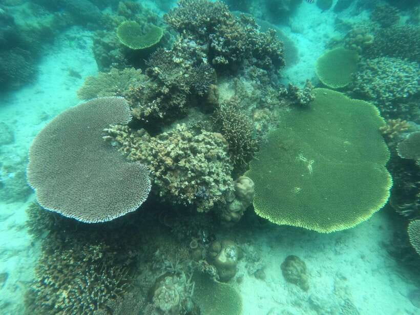 CORON:ISLAND TOUR A Lakes and Snorkeling with Corals - Banul Beach, lunch, and a proper break