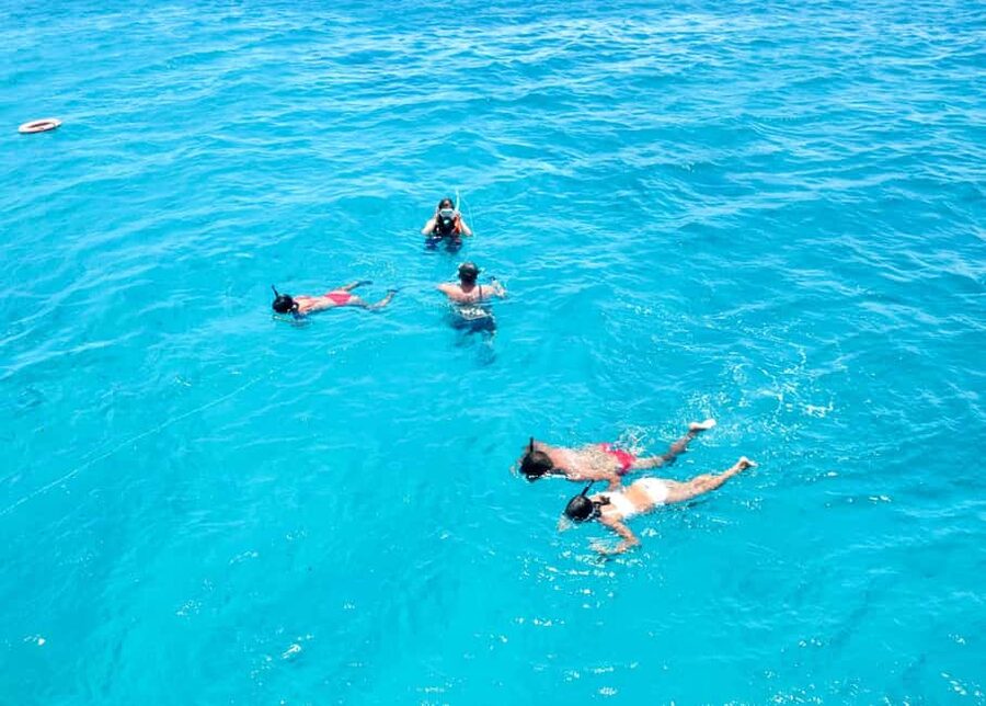 Corralejo: Snorkeling on Lobos Island & Return Ferry Ticket - Should you book the Lobos snorkel and ferry trip?