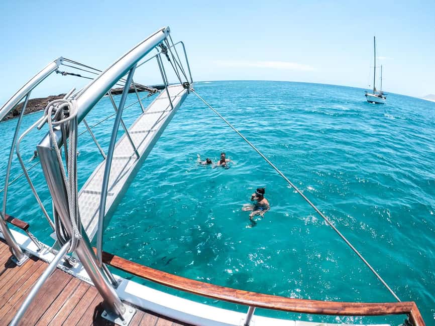 Corralejo: Snorkeling on Lobos Island & Return Ferry Ticket - Why this Lobos Island trip is worth your day