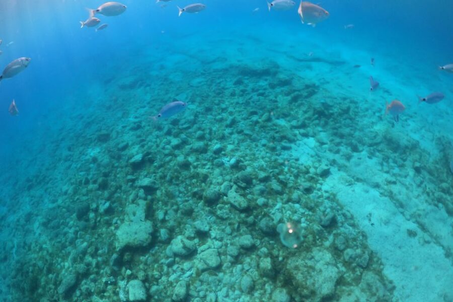 Corralejo: Snorkeling on Lobos Island & Return Ferry Ticket - Choosing between La Concha, La Caldera, and the lighthouse