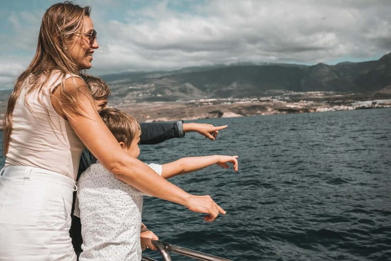 Costa Adeje: Catamaran Tour, Snorkelling, Snacks & Drinks - Should you book the Costa Adeje catamaran?