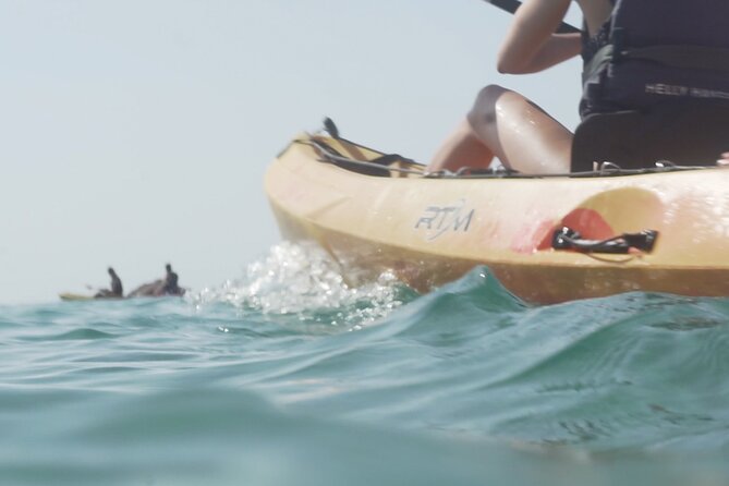Costa Brava: Kayak, Snorkel, Photos, Lunch, Beach & Cliff Jump! - Snorkeling and sea life
