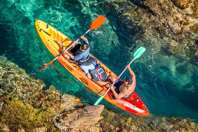 Costa Brava Kayaking and Snorkeling Small Group Tour with Lunch - Snorkeling, Sea Life, and Optional Cliff Jumps