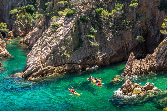 Costa Brava Kayaking and Snorkeling Small Group Tour with Lunch - Who Will Enjoy This Costa Brava Day