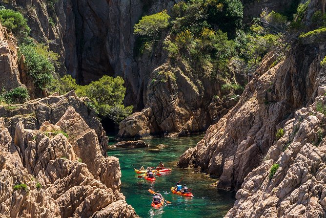 Costa Brava Kayaking and Snorkeling Small Group Tour with Lunch - Should You Book This Tour?