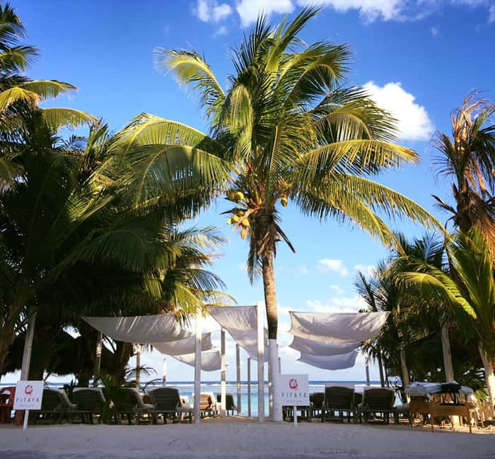 Costa Maya: Beach with Open Bar, Massage, Lunch & Snorkeling - Key points at a glance