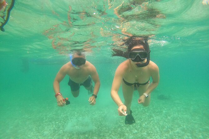 Costa Maya, snorkeling on the reef with fish, looking for turtles - Free photos are a genuine bonus