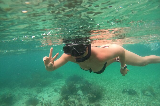 Costa Maya, snorkeling on the reef with fish, looking for turtles - Conditions, cancellation, and who should book