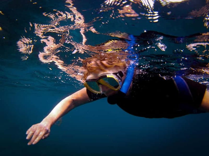 Costa Teguise: Guided 2-hour Snorkeling Tour for all levels - Who should book this Costa Teguise tour?