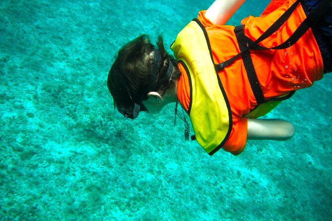 Cozumel Buggy Tour: Snorkeling , Otoch Mayan Experience & Lunch - Who will get the most from this Cozumel outing?