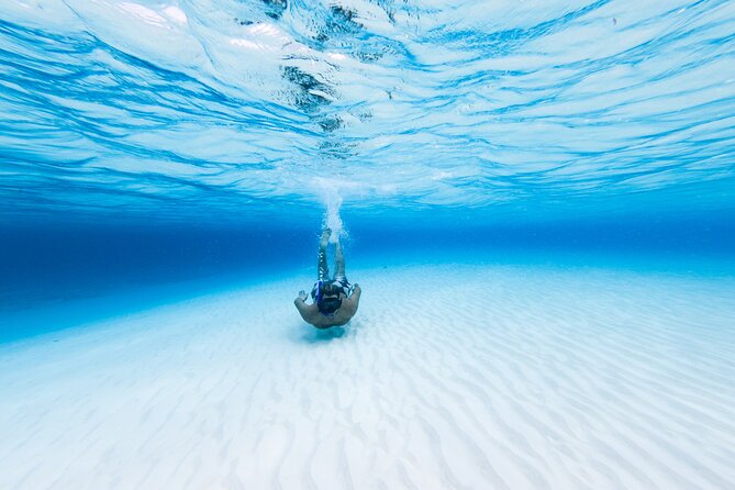 Cozumel Catamaran Snorkeling Tour & lunch - A six-hour outing built around Cozumel’s famous water