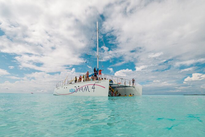 Cozumel Catamaran Snorkeling Tour & lunch - El Cielo Bay and its starfish habitat