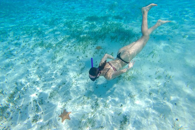 Cozumel Catamaran Snorkeling Tour & lunch - The crowd question matters more than the catamaran