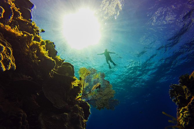 Cozumel Catamaran Snorkeling Tour & Lunch (Hotel Pick Up) - Buffet lunch and drinks