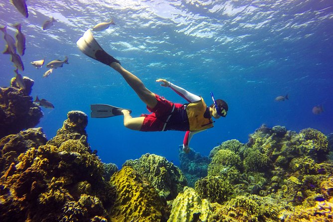 Cozumel Catamaran Snorkeling Tour & Lunch (Hotel Pick Up) - Who should book this Cozumel excursion?