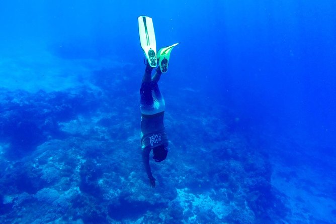 Cozumel Catamaran Snorkeling Tour & Lunch (Hotel Pick Up) - My verdict: book it for variety, not maximum reef time
