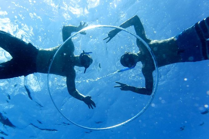 Cozumel Catamaran Snorkeling Tour & lunch - Palancar Reef: the main reason to book
