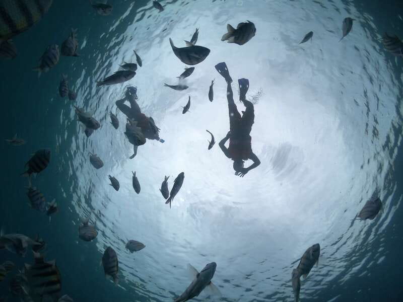 Cozumel: Clear Boat Ride and Snorkeling Trip - Should you book the clear boat ride?