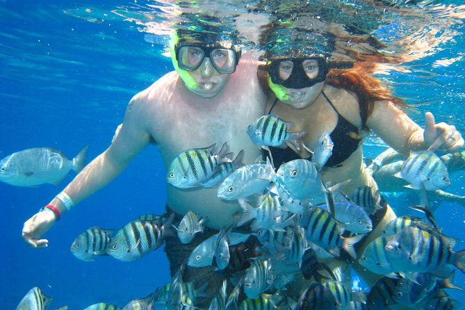 Cozumel Coral Reef Snorkeling by Glass Bottom Boat with Guide - Rough water, reef care, and practical comfort