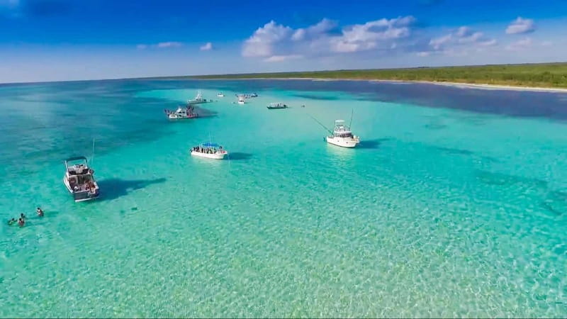 Cozumel: El Cielo & Palancar Snorkel with Open Bar & Ceviche - Key points to know before booking
