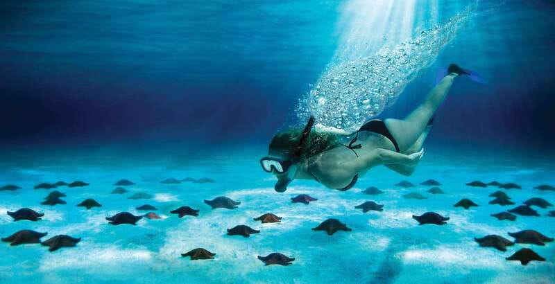 Cozumel: El Cielo & Palancar Snorkel with Open Bar & Ceviche - Palancar Reef sets the tone
