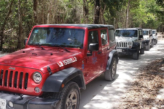 Cozumel Jeep Adventure to Jade Caverns with Lunch and Snorkel - What the guide adds to the day