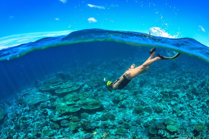 Cozumel Luxury Sailing & Snorkeling Cruise Experience - The biggest weakness is communication