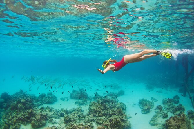 Cozumel Luxury Sailing & Snorkeling Cruise Experience - Who will get the most from this cruise?