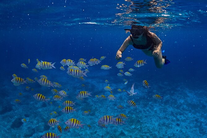 Cozumel Luxury Sailing & Snorkeling with Lunch and Open Bar Onboard - Boarding the catamaran and finding your rhythm