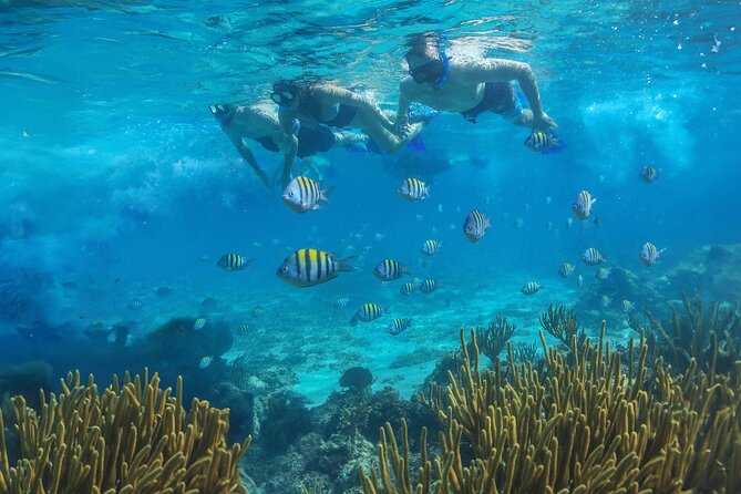 Cozumel Luxury Sailing & Snorkeling with Lunch and Open Bar Onboard - Lunch, cocktails, and the open-bar tradeoff