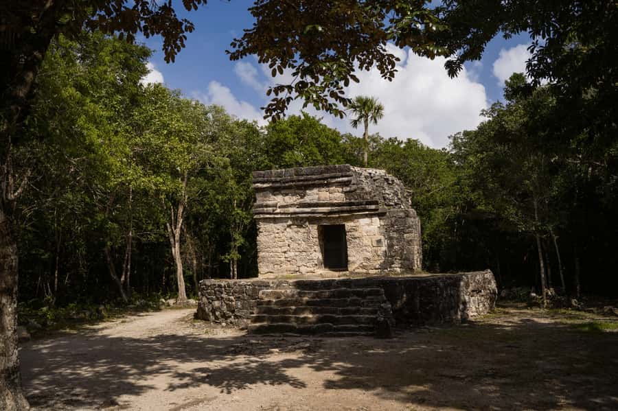 Cozumel: Mayan Ruins Guided Tour with Snorkeling & Lunch - Starting Points in San Miguel