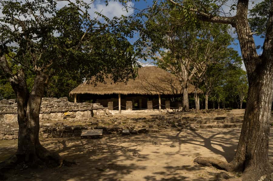 Cozumel: Mayan Ruins Guided Tour with Snorkeling & Lunch - Safety and Comfort Considerations
