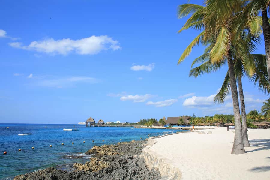 Cozumel: Official Chankanaab Park and Snorkeling with Lunch - Lunch by the water and what to expect from the menu