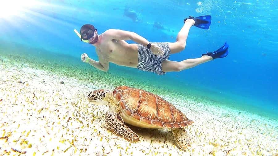 Cozumel: Palancar, Columbia and Cielo Reefs Snorkeling Tour - Key points to know before booking