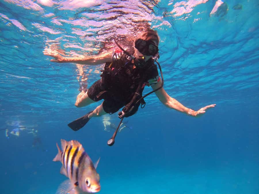 Cozumel: Palancar, Columbia and Cielo Reefs Snorkeling Tour - Should you book the Palancar, Columbia, and Cielo tour?