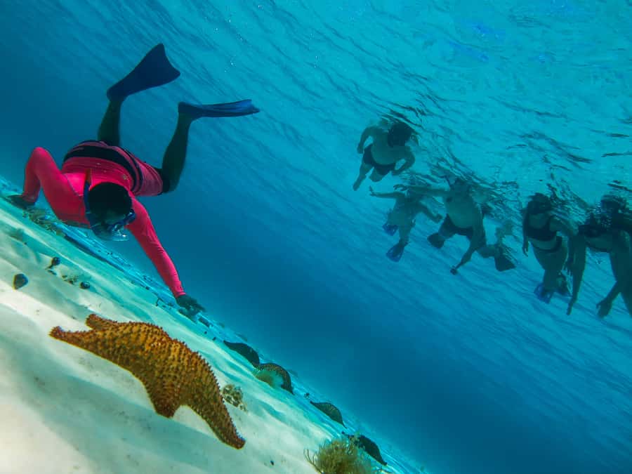 Cozumel: Palancar, Columbia and Cielo Reefs Snorkeling Tour - El Cielo gives the trip a slower finish