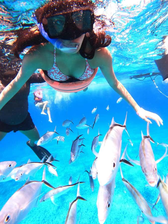 Cozumel: Palancar, Columbia and Cielo Reefs Snorkeling Tour - Is $52 a fair price for four hours?