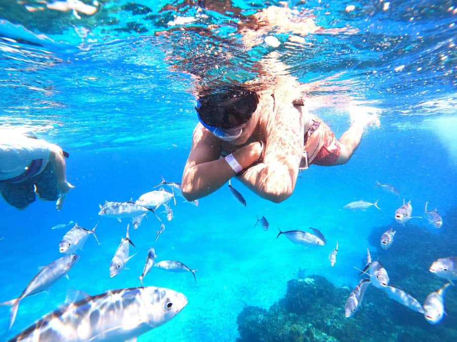 Cozumel: Palancar, Columbia and Cielo Reefs Snorkeling Tour - Who should book this Cozumel boat trip?