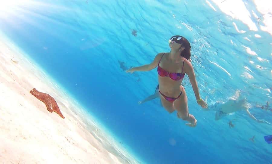 Cozumel: Palancar, Columbia and Cielo Reefs Snorkeling Tour - Practical advice for a smoother day