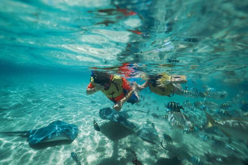 Cozumel: Snorkel and Swim with Stingrays - What the stingray encounter is really like