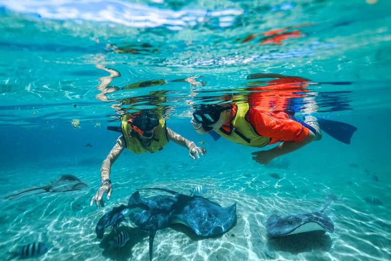 Cozumel: Snorkel and Swim with Stingrays - Who will enjoy this Cozumel activity most