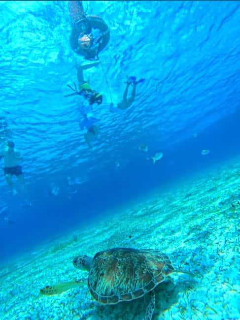 Cozumel: snorkeling on reefs + visit to "El Cielo" - Key points to know before booking